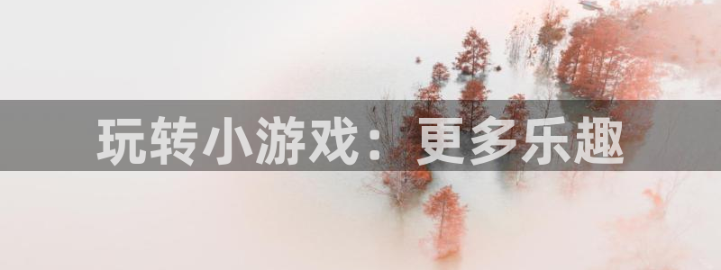 杏悦登录注册：玩转小游戏：更多乐趣