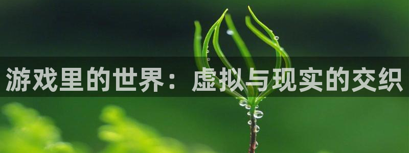 杏悦平台如何