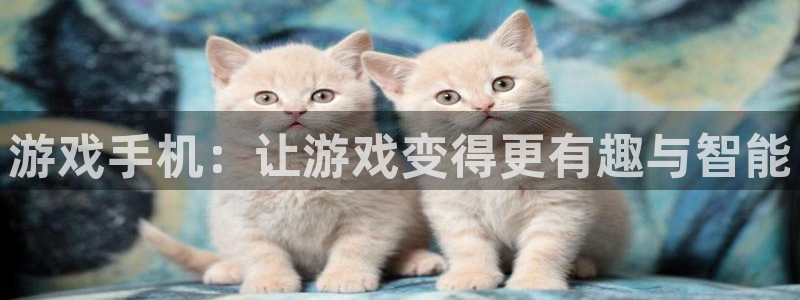 杏悦主管：游戏手机：让游戏变得更有趣与智能
