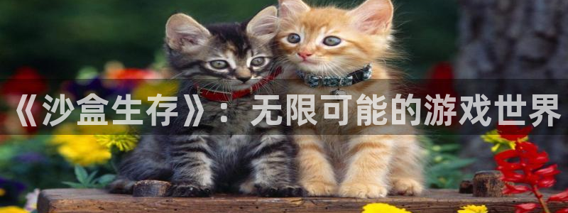 杏悦登录网址：《沙盒生存》：无限可能的游戏世界