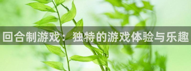 杏悦平台招商怎么样