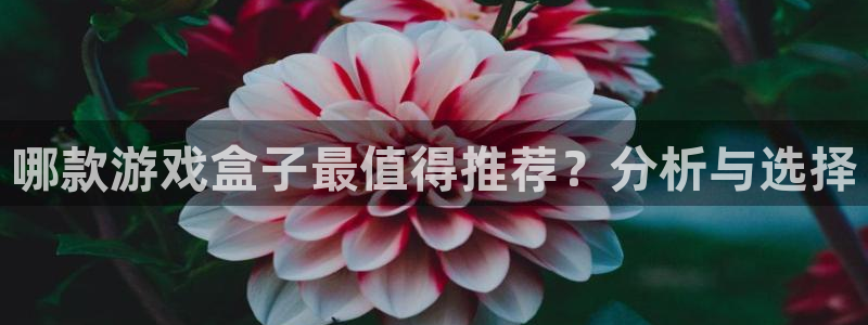 杏悦娱乐是什么平台公司