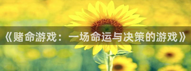 杏悦平台招商怎么样：《赌命游戏：一场命运与决策的游戏》