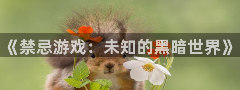 杏悦娱乐是什么