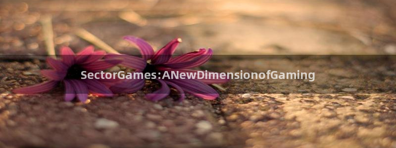 杏悦平台注册流程：SectorGames:ANewDimen