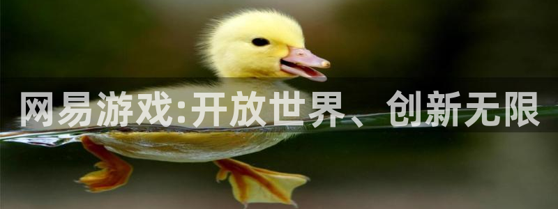 杏悦代理在线注册