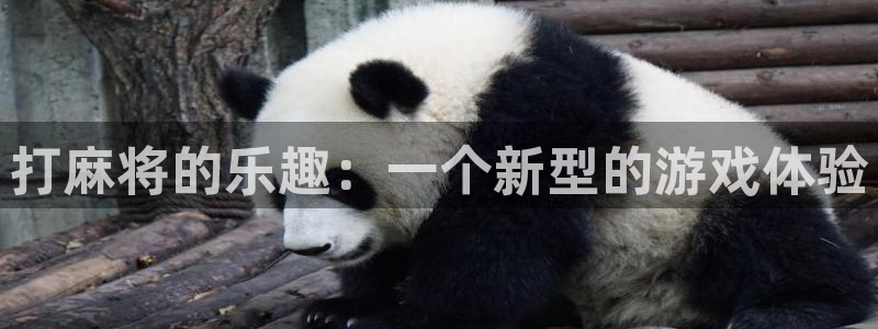 杏悦登录免费测试网页版：打麻将的乐趣：一个新型的游戏体验