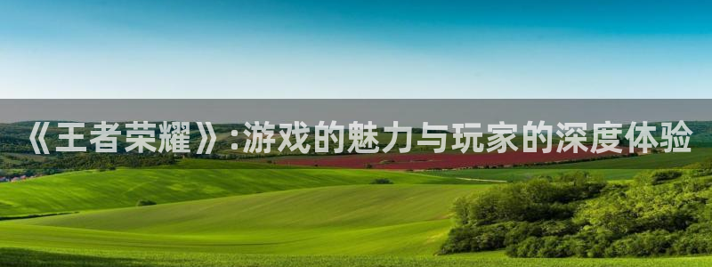 杏悦娱乐是什么平台的：《王者荣耀》:游戏的魅力与玩家的深度体